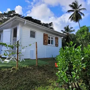 Ti-hibiscus Bungalow T1 Clim-wifi 30m2 2 Pers Grande Savane