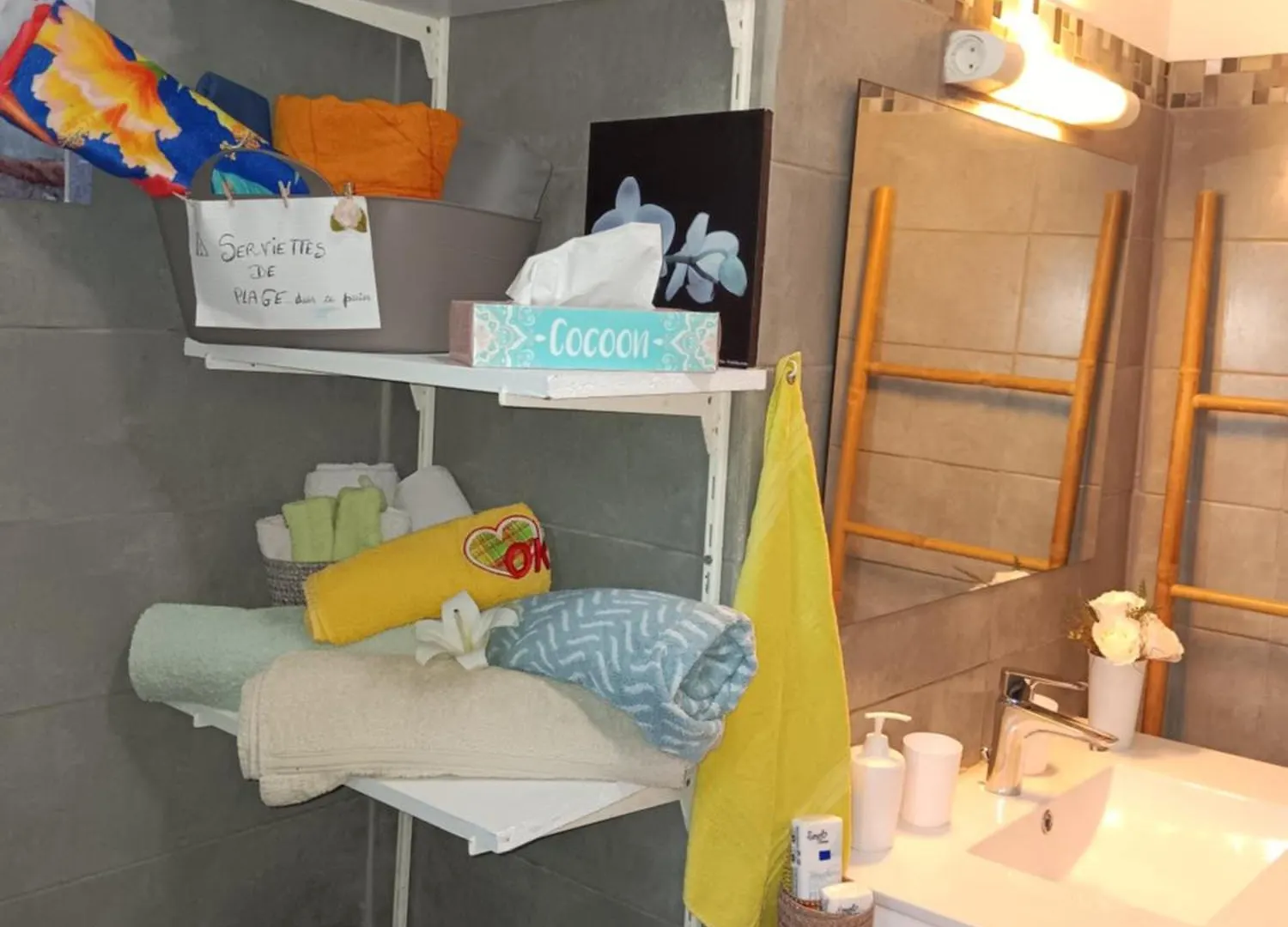 Sous Le Manguier Apartment Sainte-Anne